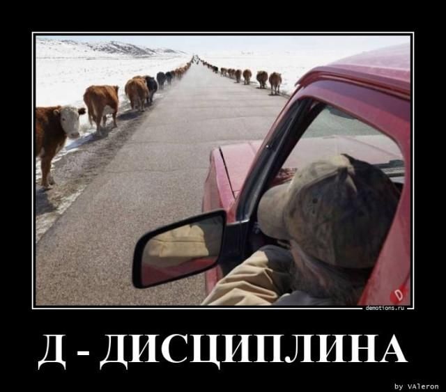 Д- ДИСЦИПЛИНА