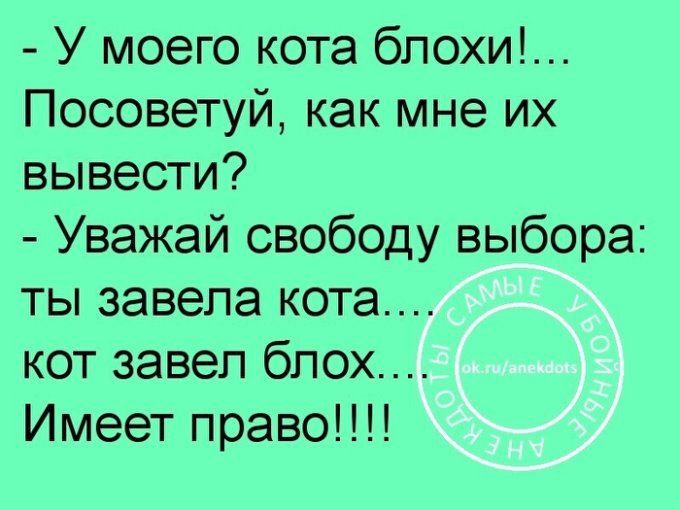 - У моего кота блохи!... Посоветуй, как мне их вывести? - Уважай свободу выбора: ты завела кота.... кот завел блох.... Имеет право!!!!