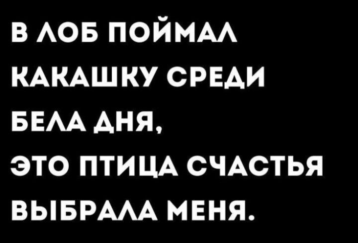 В лоб поймал какашку среди бела дня, это птица счастья выбрала меня.