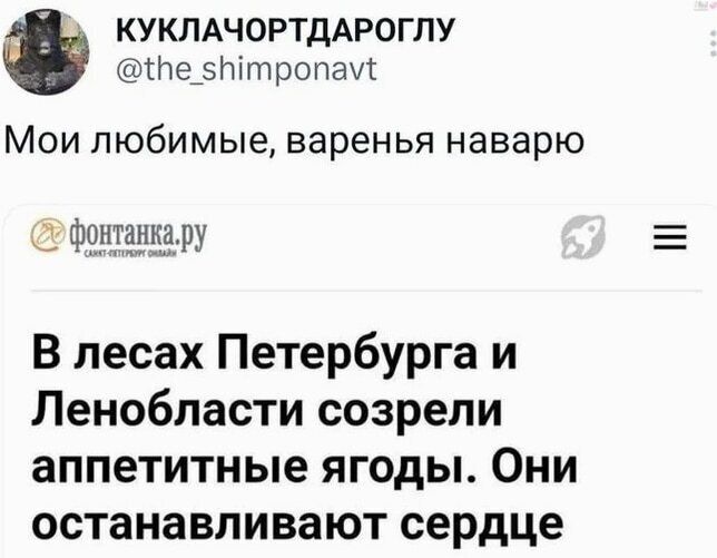 КУКЛАЧОРТДАРОГЛУ @the_shimponavt Мои любимые, варенья наварю фонтанка.ру В лесах Петербурга и Ленобласти созрели аппетитные ягоды. Они останавливают сердце