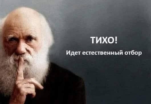 ТИХО! Идет естественный отбор
