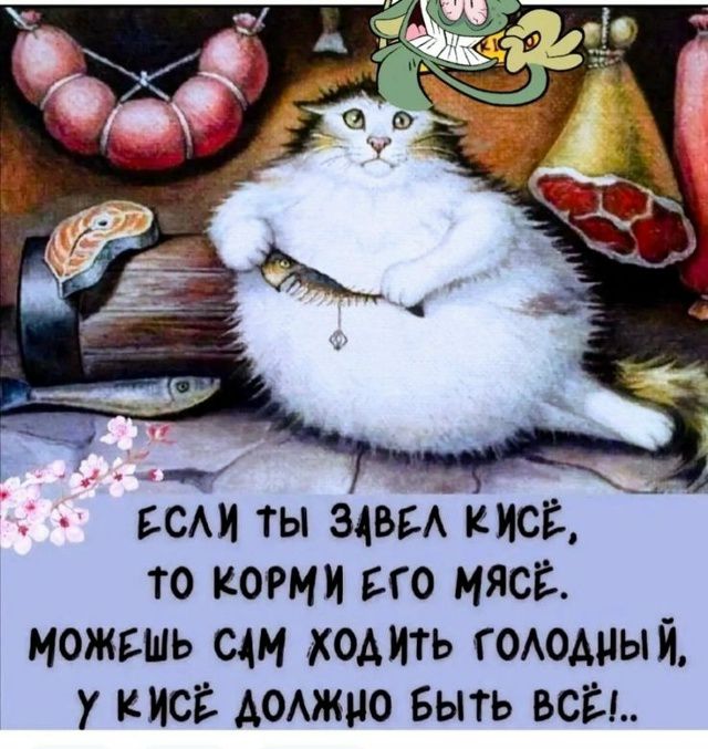 ЕСЛИ ТЫ ЗАВЕЛ КИСЁ, ТО КОРМИ ЕГО МЯСЁ. МОЖЕШЬ САМ ХОДИТЬ ГОЛОДНЫЙ, У КИСЁ ДОЛЖНО БЫТЬ ВСЁ!...