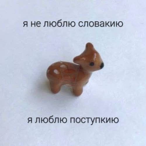 я не люблю словакию я люблю поступкию
