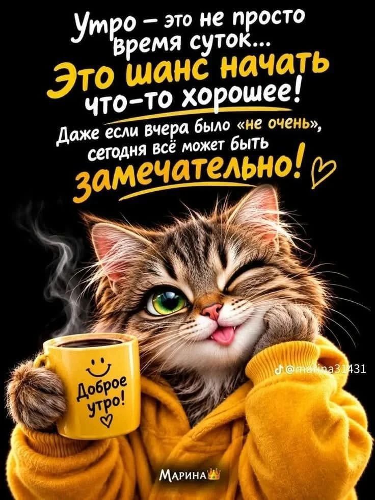 Утро — это не просто время суток... Это шанс начать что-то хорошее! Даже если вчера было «не очень», сегодня всё может быть замечательно! Доброе утро!