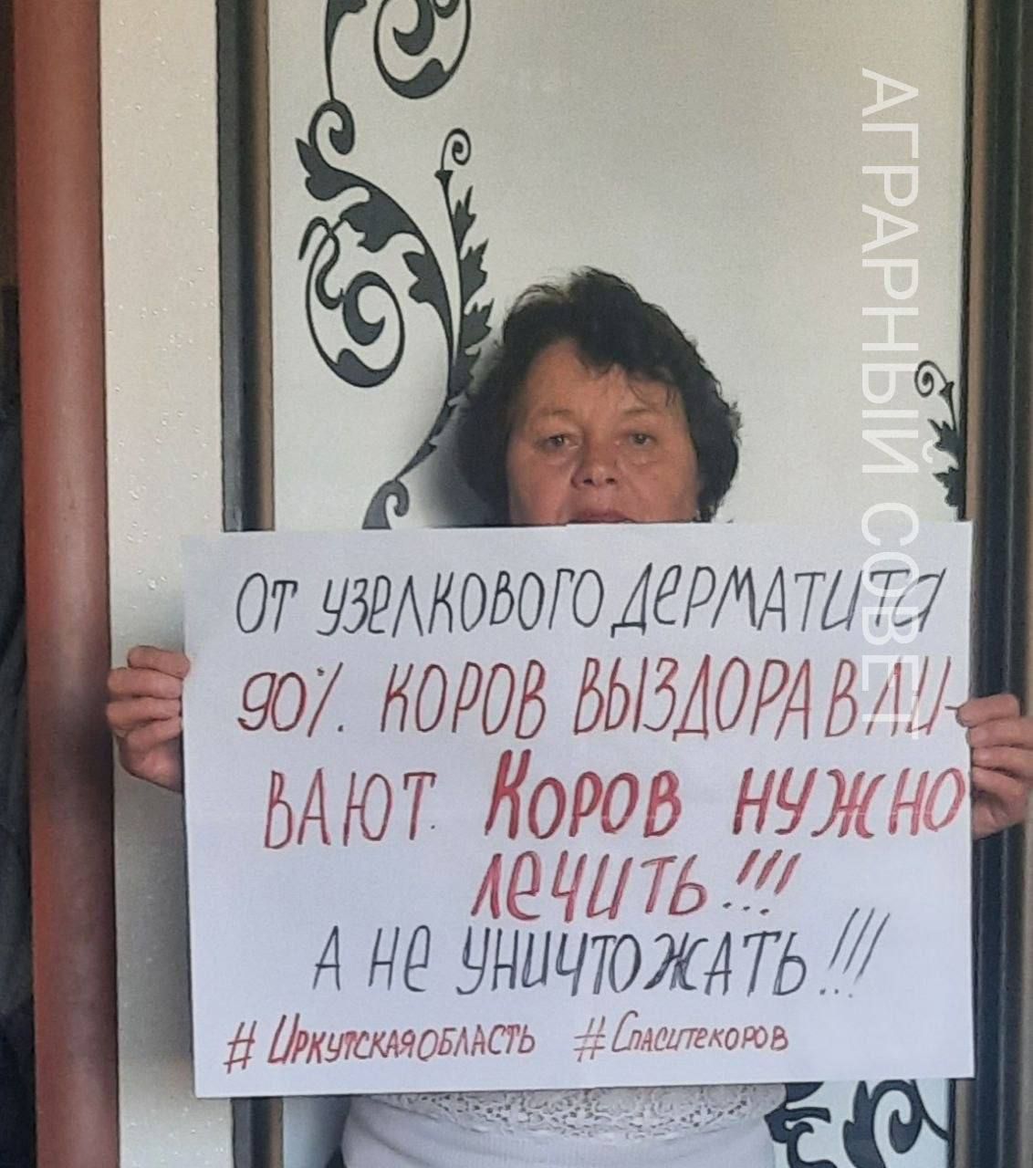 АГРАРНЫЙ СЕКТОР От узелкового дерматита 90% коров выздоравливают. Коров нужно лечить!!! А не уничтожать!!! #Иркутскаяобласть #Спаситекоров