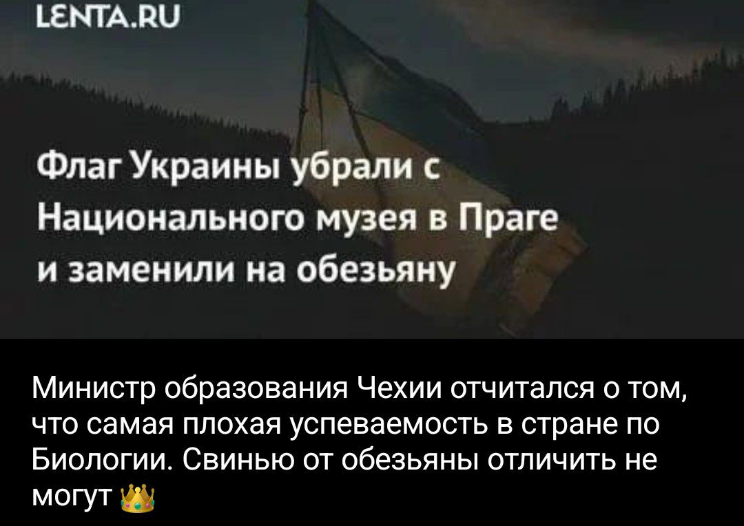 LENTA.RU Флаг Украины убрали с Национального музея в Праге и заменили на обезьяну Министр образования Чехии отчитался о том, что самая плохая успеваемость в стране по Биологии. Свинью от обезьяны отличить не могут 👑