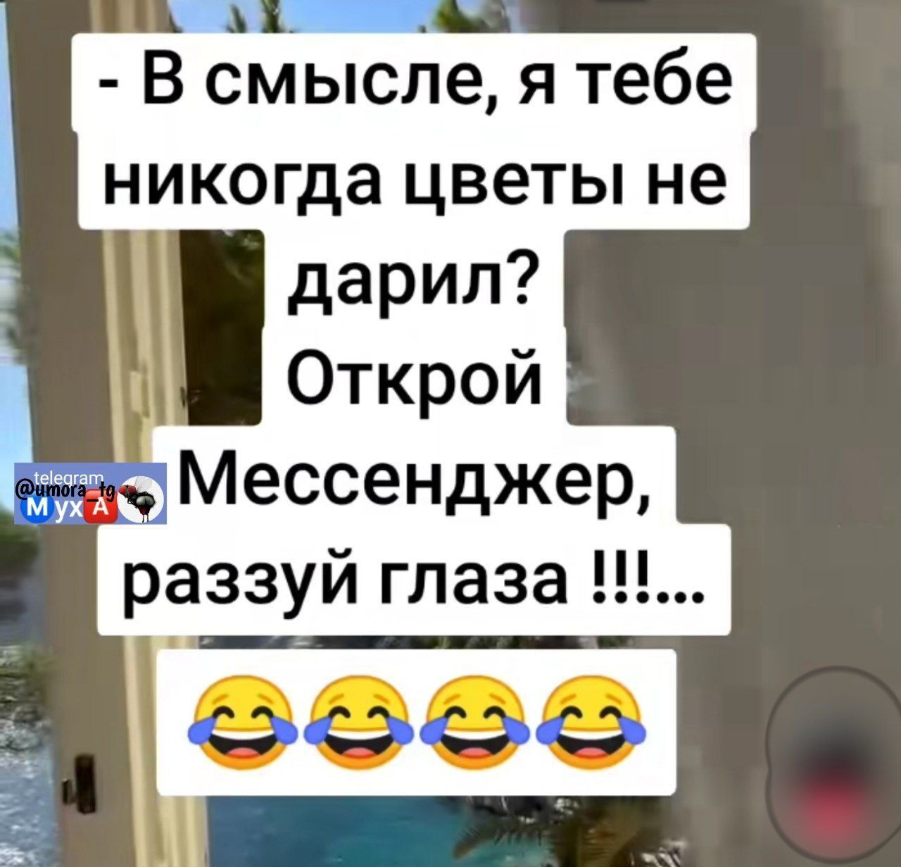 В смысле, я тебе никогда цветы не дарил? Открой Мессенджер, раззуй глаза !!!...