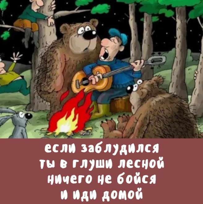 если заблудился ты в глуши лесной ничего не бойся и иди домой
