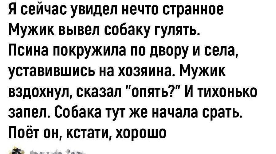 Я сейчас увидел нечто странное Мужик вывел собаку гулять. Псина покружила по двору и села, уставившись на хозяина. Мужик вздохнул, сказал 