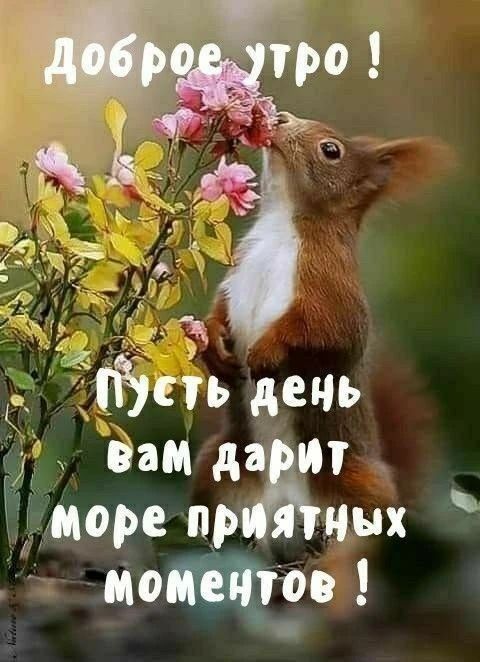 Доброе утро! Пусть день вам дарит море приятных моментов!