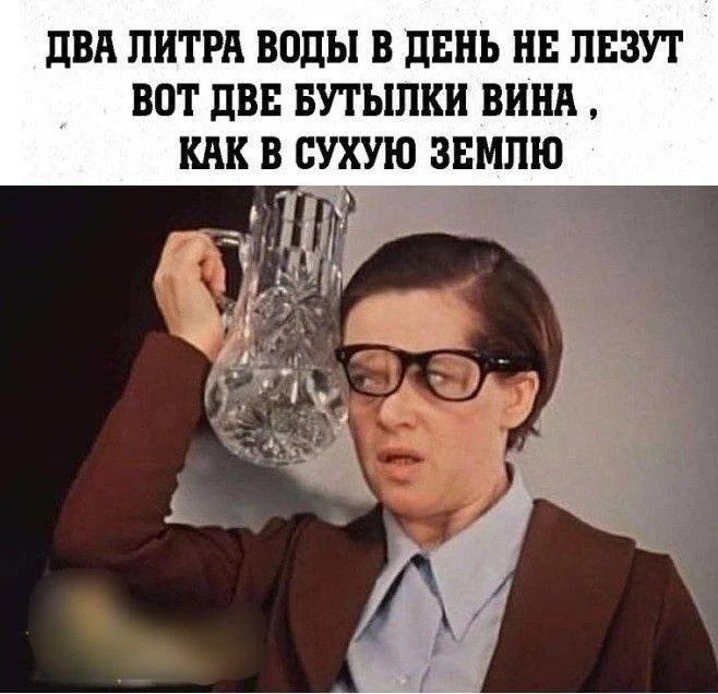 ДВА ЛИТРА ВОДЫ В ДЕНЬ НЕ ЛЕЗУТ, ВОТ ДВЕ БУТЫЛКИ ВИНА, КАК В СУХУЮ ЗЕМЛЮ
