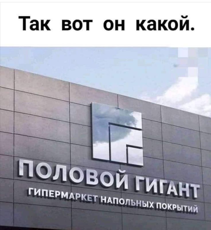 Так вот он какой. половой гигант гипермаркет напольных покрытий