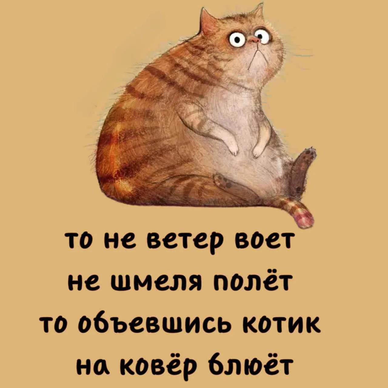 то не ветер воет не шмеля полёт то объевшись котик на ковёр блюёт
