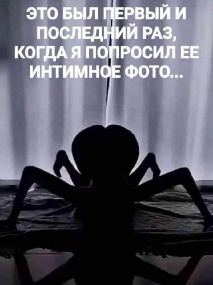 Это был первый и последний раз, когда я попросил ее интимное фото...
