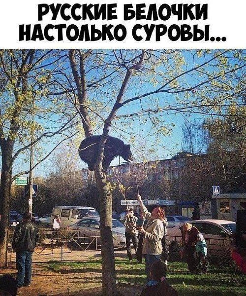 РУССКИЕ БЕЛОЧКИ НАСТОЛЬКО СУРОВЫ...