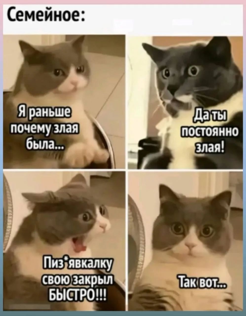 Семейное: Я раньше почему злая была... Да ты постоянно злая! Пиз*явкалку свою закрыл БЫСТРО!!! Так вот...