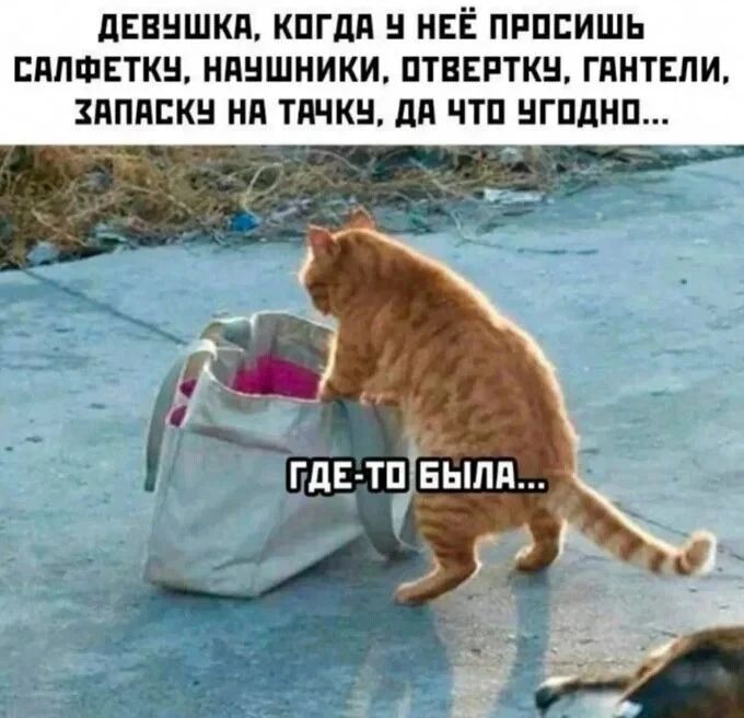 ДЕВУШКА, КОГДА У НЕЁ ПРОСИШЬ САЛФЕТКУ, НАУШНИКИ, ОТВЕРТКУ, ГАНТЕЛИ, ЗАПАСКУ НА ТАЧКУ, ДА ЧТО УГОДНО... ГДЕ-ТО БЫЛА...