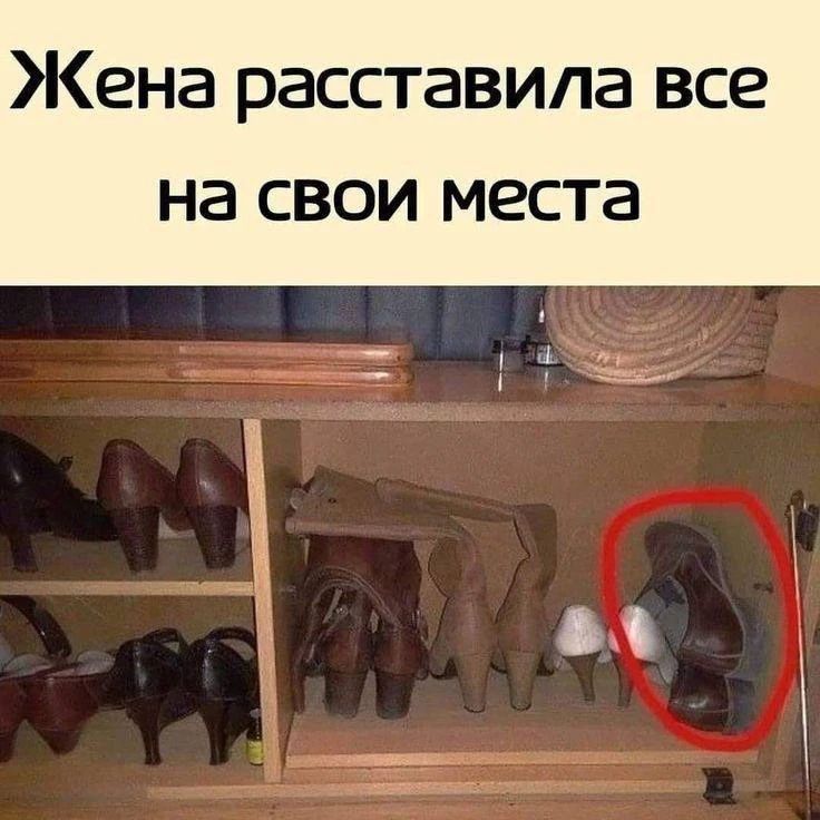 Жена расставила все на свои места