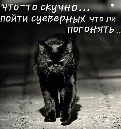 ЧТО-ТО СКУЧНО... ПОЙТИ СУЕВЕРНЫХ ЧТО ЛИ ПОГОНЯТЬ...