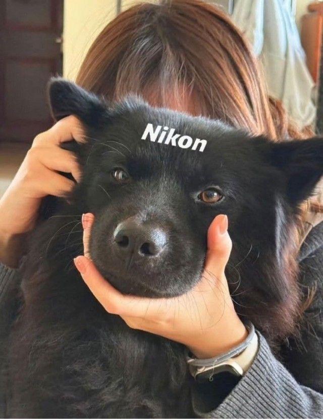 Nikon