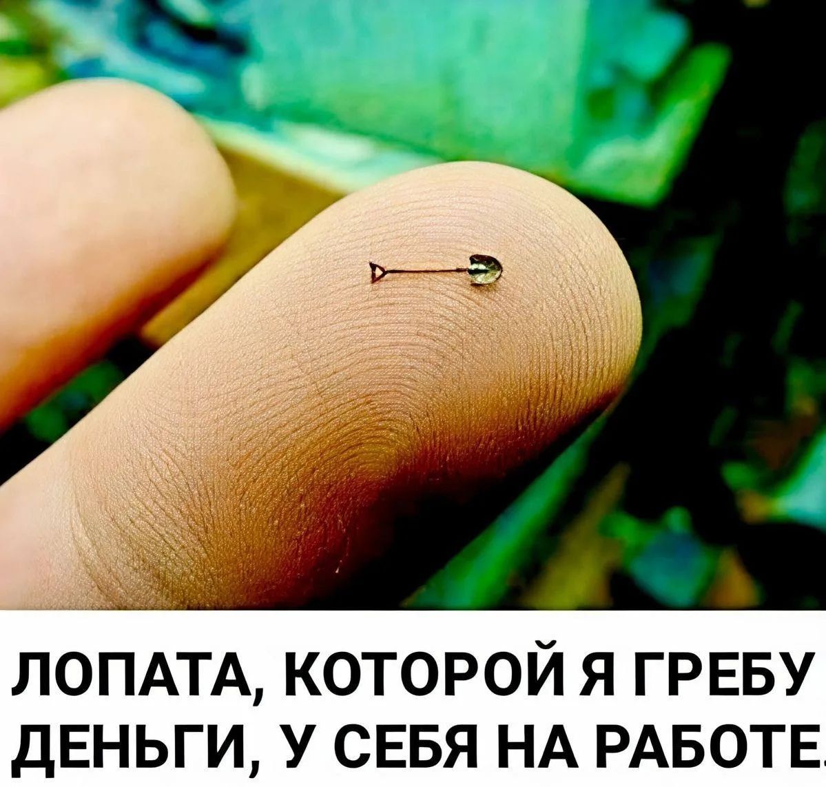 ЛОПАТА, КОТОРОЙ Я ГРЕБУ ДЕНЬГИ, У СЕБЯ НА РАБОТЕ.