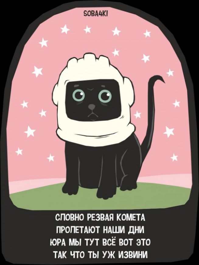SOBA4KI СЛОВНО РЕЗВАЯ КОМЕТА ПРОЛЕТАЮТ НАШИ ДНИ ЮРА МЫ ТУТ ВСЁ ВОТ ЭТО ТАК ЧТО ТЫ УЖ ИЗВИНИ