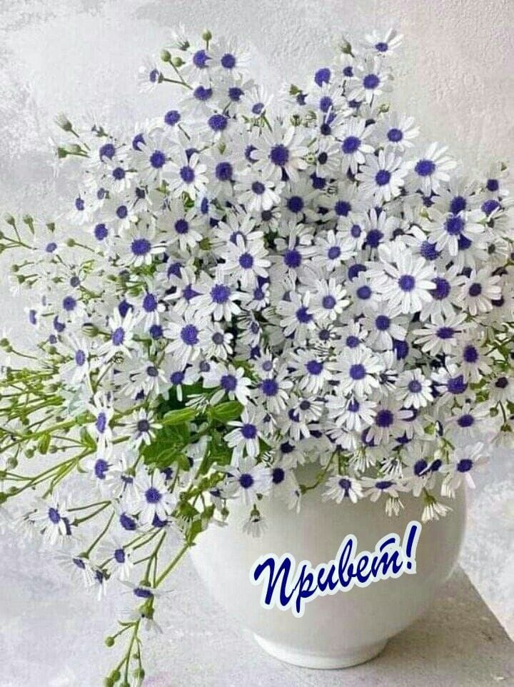 Привет!