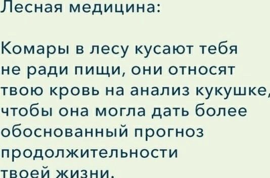 Лесная медицина: Комары в лесу кусают тебя не ради пищи, они относят твою кровь на анализ кукушке, чтобы она могла дать более обоснованный прогноз продолжительности твоей жизни.