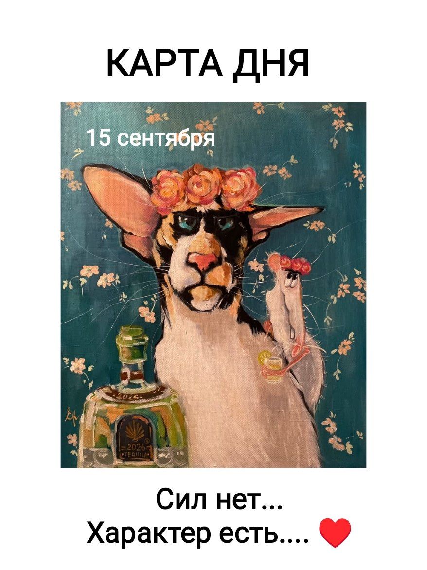 КАРТА ДНЯ 15 сентября Сил нет... Характер есть....