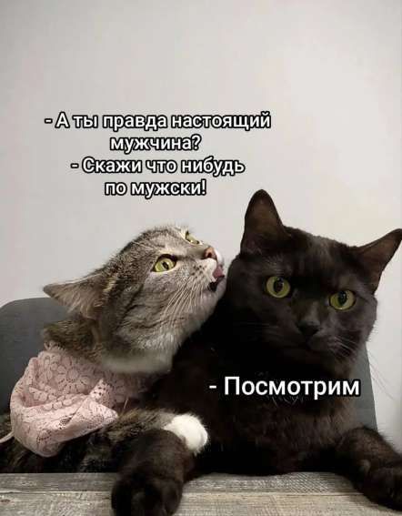 А ты правда настоящий мужчина? Скажи что нибудь по мужски! - Посмотрим