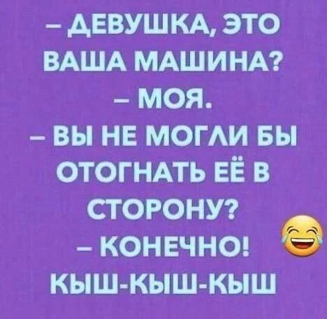 — Девушка, это ваша машина? — Моя. — Вы не могли бы отогнать её в сторону? — Конечно! Кыш-кыш-кыш