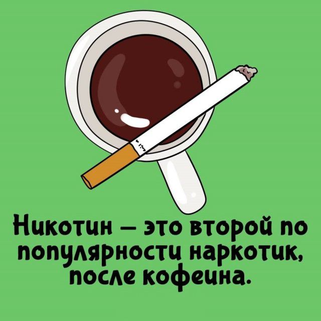 Никотин - это второй по популярности наркотик, после кофеина.
