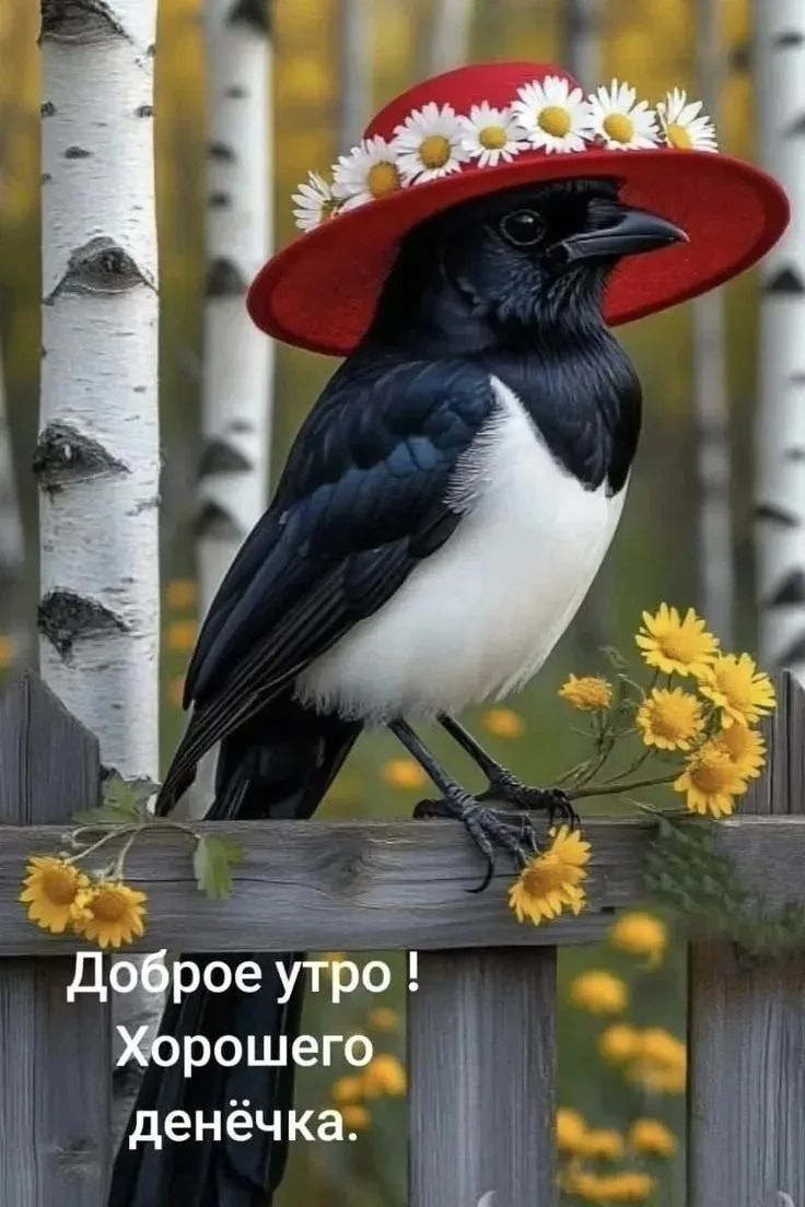 Доброе утро! Хорошего денёчка.