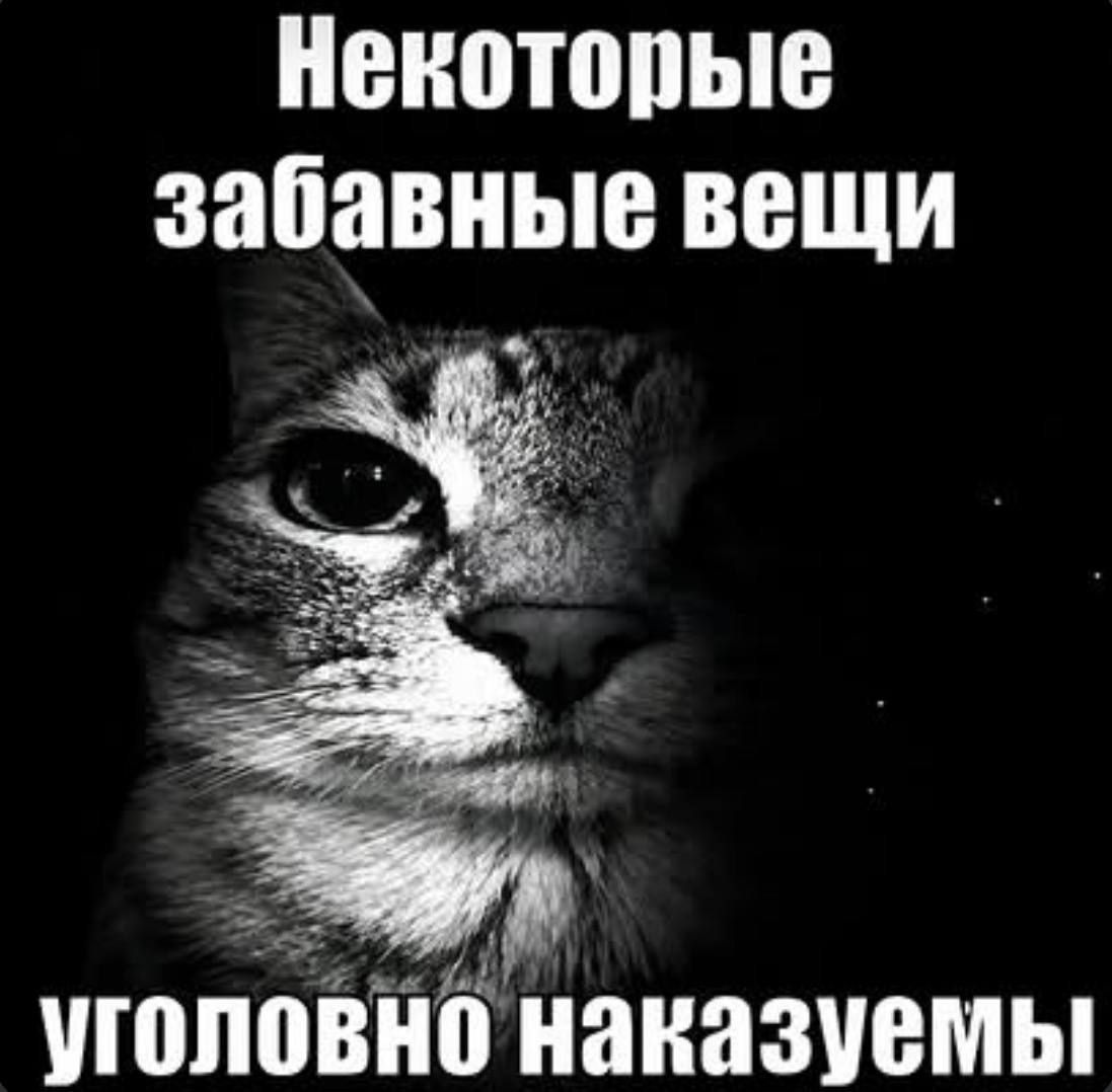 Некоторые забавные вещи уголовно наказуемы