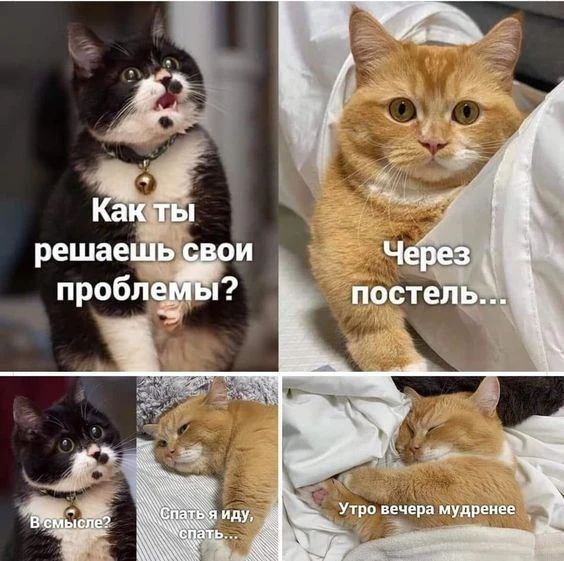 Как ты решаешь свои проблемы? Через постель... В смысле? Спать я иду, спать... Утро вечера мудренее