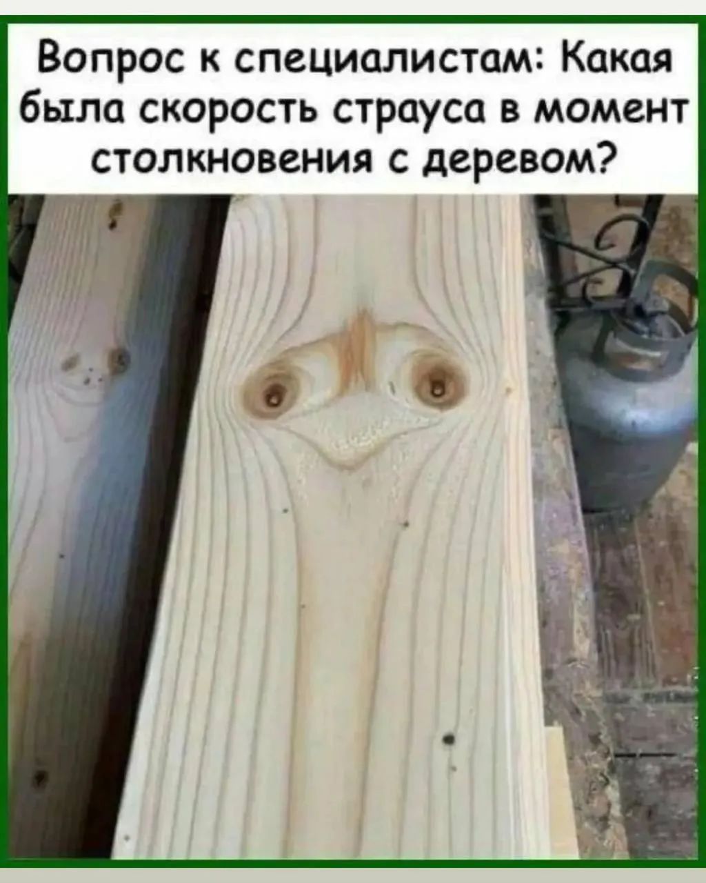 Вопрос к специалистам: Какая была скорость страуса в момент столкновения с деревом?
