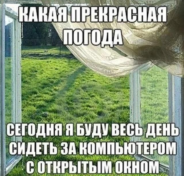 Какая прекрасная погода. Сегодня я буду весь день сидеть за компьютером с открытым окном