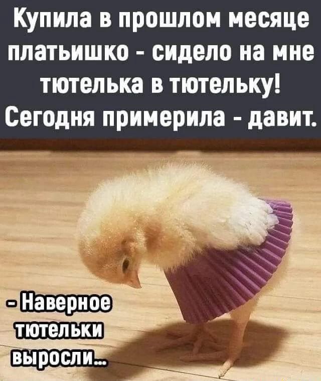 Купила в прошлом месяце платьишко - сидело на мне тютелька в тютельку! Сегодня примерила - давит. - Наверное тютельки выросли...