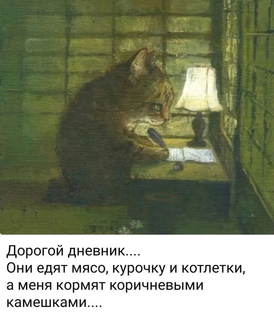 Дорогой дневник.... Они едят мясо, курочку и котлетки, а меня кормят коричневыми камешками....