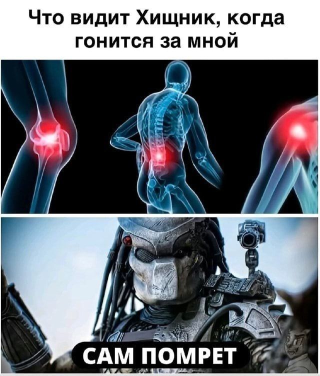 Что видит Хищник, когда гонится за мной САМ ПОМРЕТ