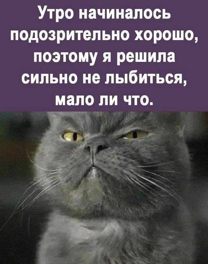 Утро начиналось подозрительно хорошо, поэтому я решила сильно не лыбиться, мало ли что.