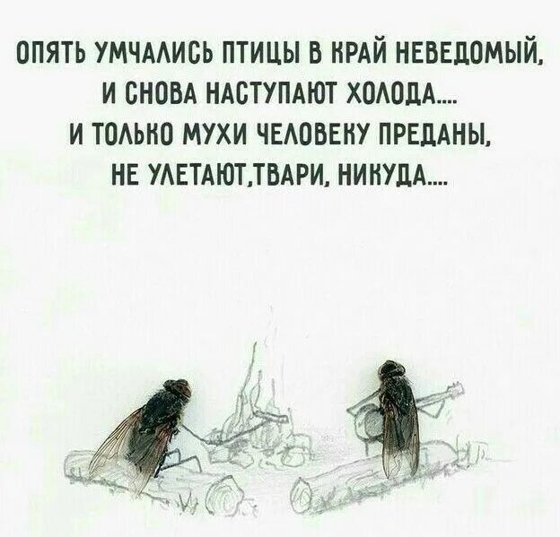 Опять умчались птицы в край неведомый, и снова наступают холода.... И только мухи человеку преданы, не улетают, твари, никуда....