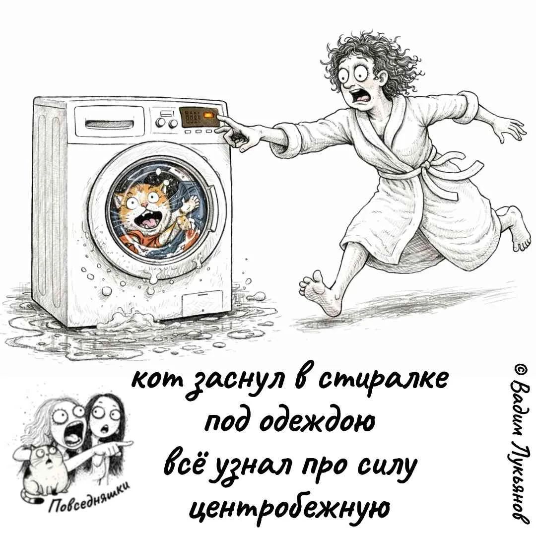 кот заснул в стиралке под одеждою всё узнал про силу центробежную