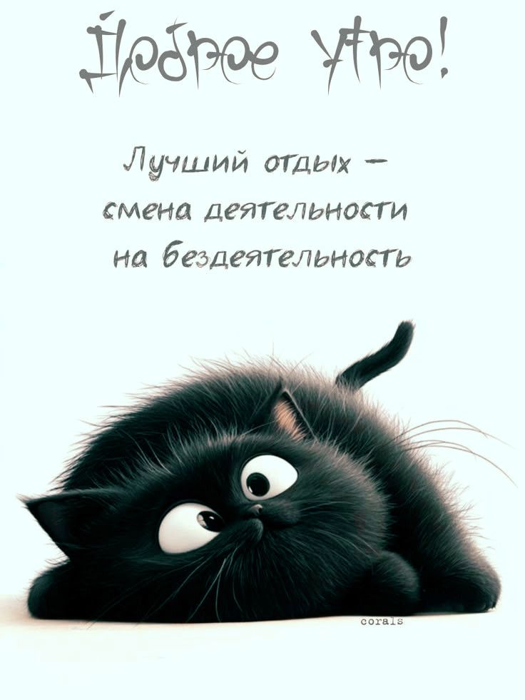 Доброе утро! Лучший отдых — смена деятельности на бездеятельность