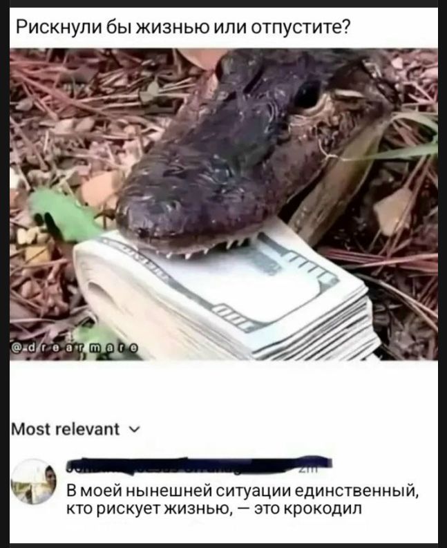 Рискнули бы жизнью или отпустите? @d.r.e.a.r.m.a.r.o Most relevant В моей нынешней ситуации единственный, кто рискует жизнью, — это крокодил
