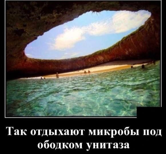 Так отдыхают микробы под ободком унитаза