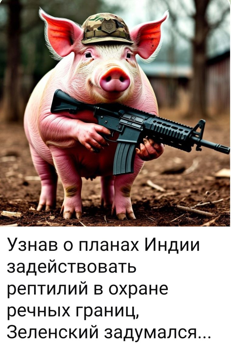 Узнав о планах Индии задействовать рептилий в охране речных границ, Зеленский задумался...