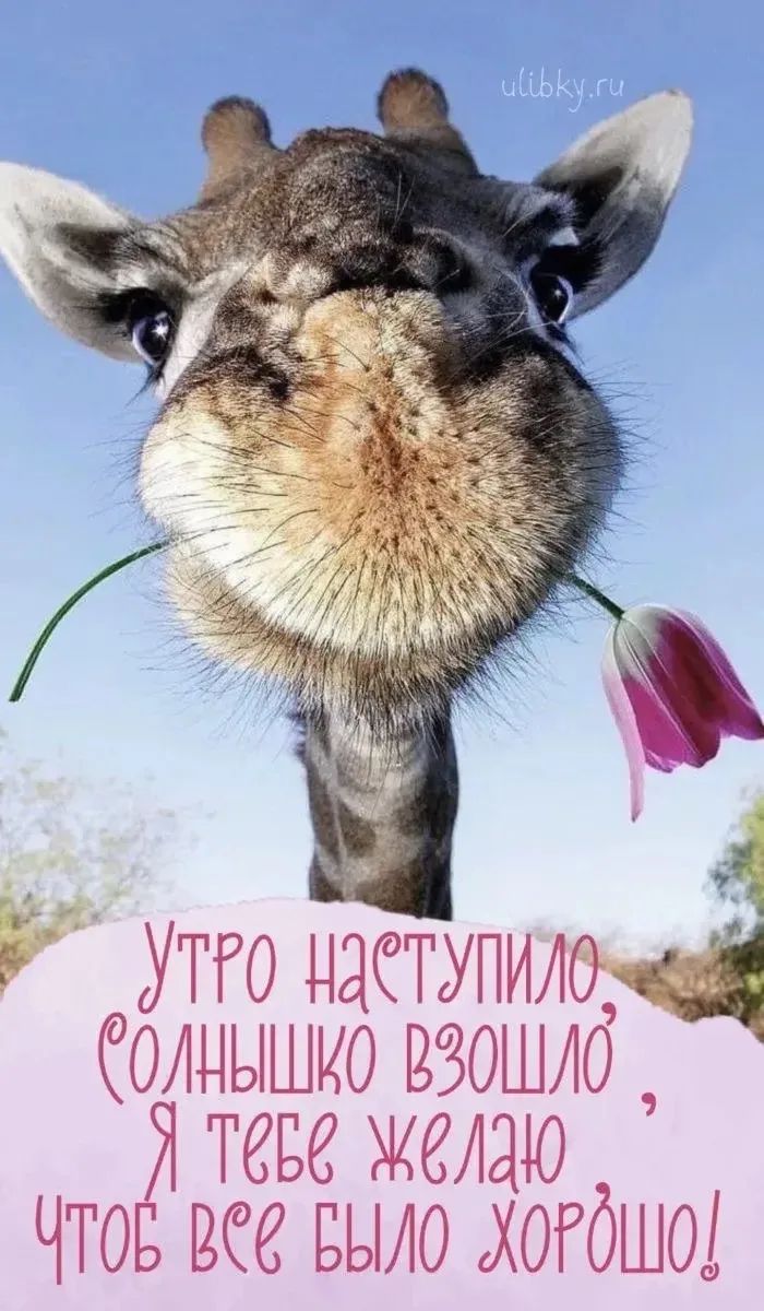 ulibky.ru Утро наступило, солнышко взошло, Я тебе желаю чтоб все было хорошо!