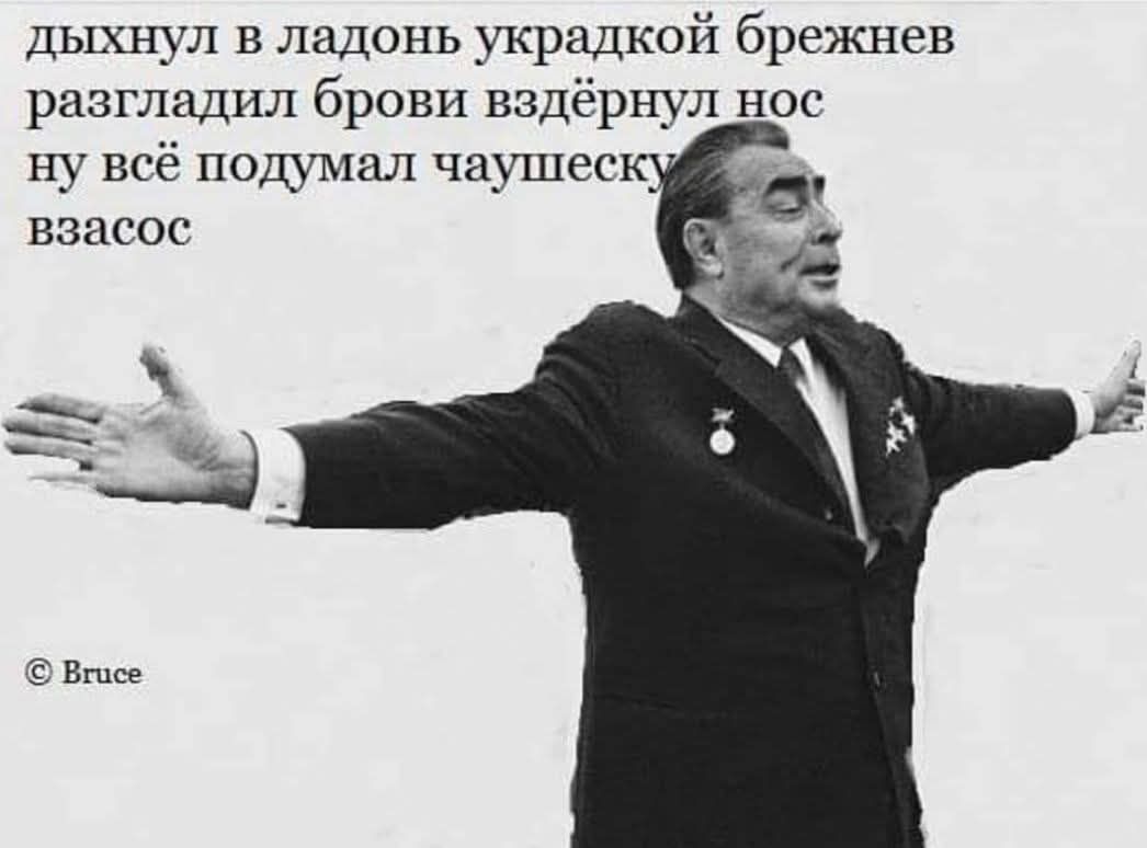 дыхнул в ладонь украдкой брежнев разгладил брови вздёрнул нос ну всё подумал чаушеску взасос
