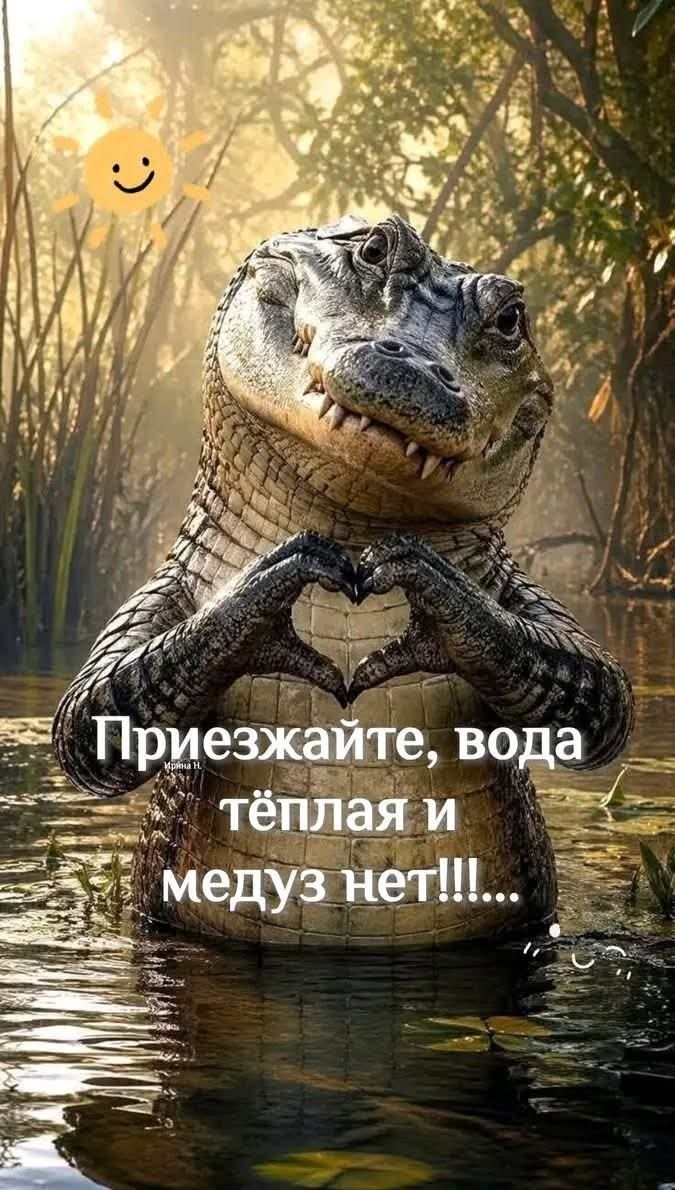 Приезжайте, вода тёплая и медуз нет!!!...